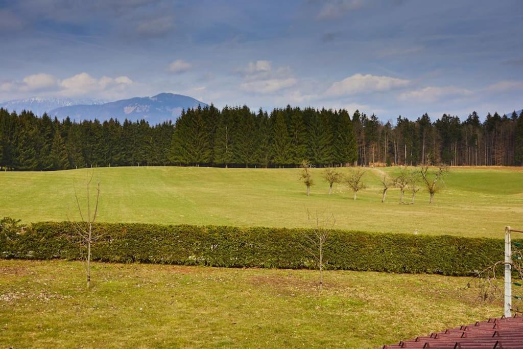 Ferienwohnung Countryside House Near Bled Podnart Exterior foto